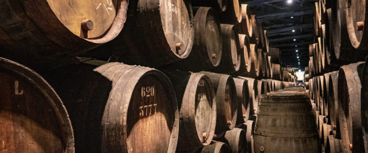 svetlana-gumerova-nZVjwM1xWU0-unsplash